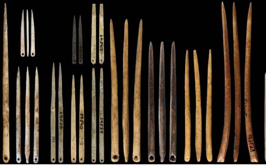 Morphological variation in the size and shape of Late Pleistocene eyed needles. Source: Gilligan et al, 2024