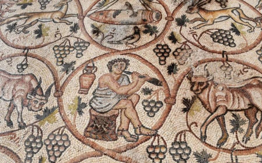 Part of the intricate mosaic reveal in the Western Negev, Israel.