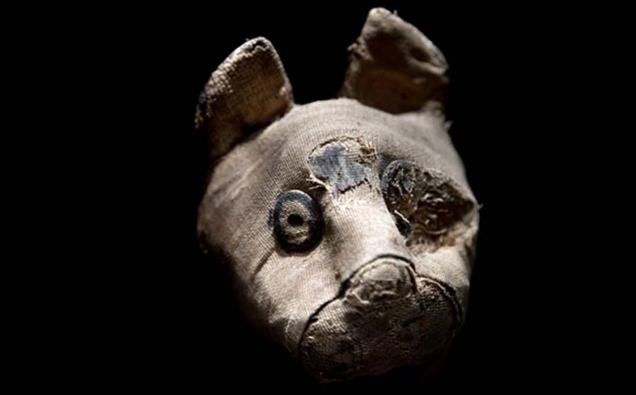 Mummified cat found in Egyptian tomb