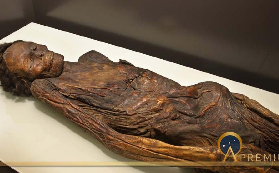 Famous Gaunches Mummies Drenched In Dragons’ Blood Like A Stradivarius Violin