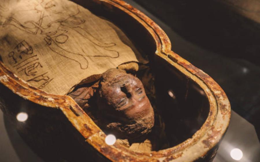 Ancient Egyptian mummies in sarcophagi.