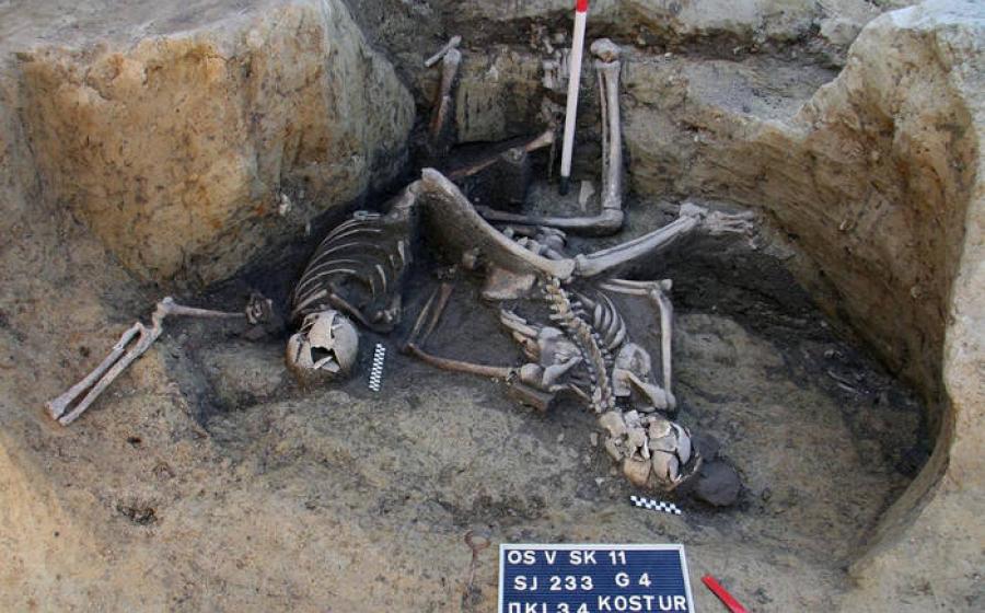 Skeletal remains of some of the seven Roman soldiers discovered in an ancient well at Osijek, Croatia,
