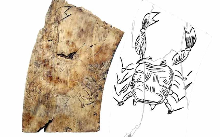 The Shock Discovery of the Nakovane Zodiac