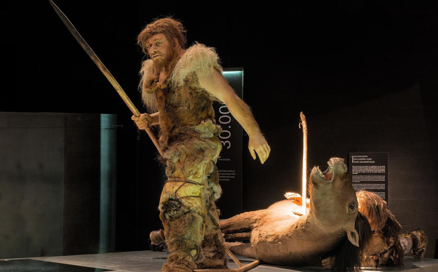 Neanderthal hunters depicted in the Gallo-Roman Museum, Tongeren (Belgium)