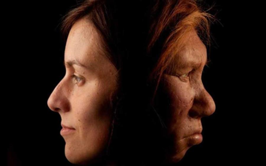 A modern human, left, and Neanderthal woman, right.