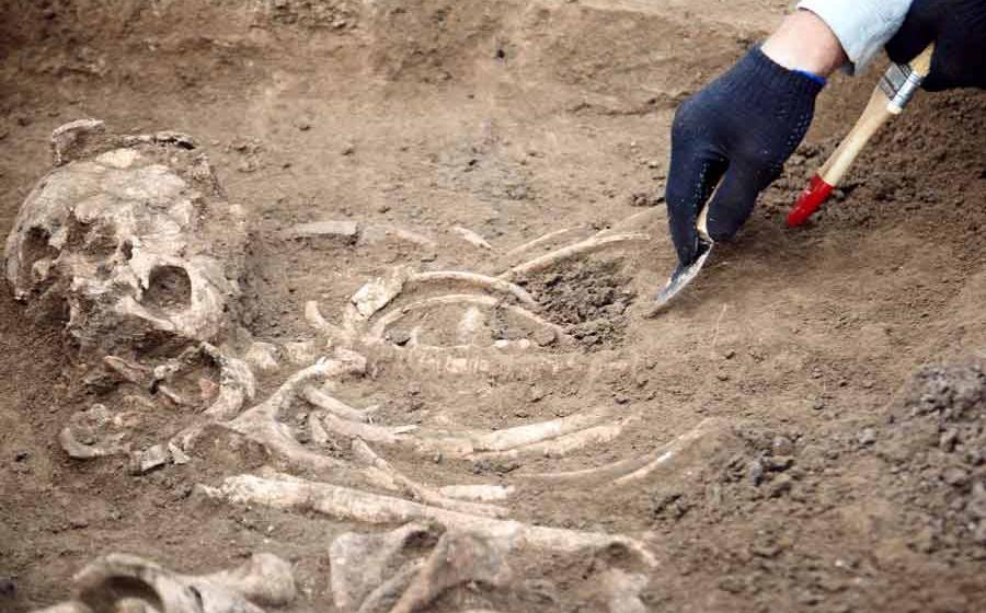 Neanderthal DNA Recovered from Cave Dirt Using Breakthrough Technology