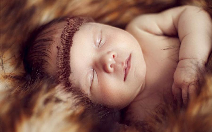 Just Like Us, Neanderthal Babies Ate Solid Food at 6 Months Old
