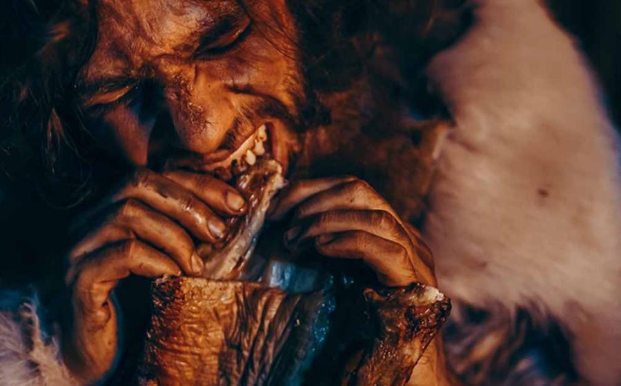 Neanderthal Diet Was Carnivorous, Shows Study of Tooth Enamel