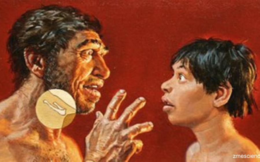 Neanderthal Language