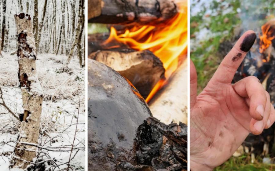 Researchers used methods that Neanderthals also used to produce birch tar.