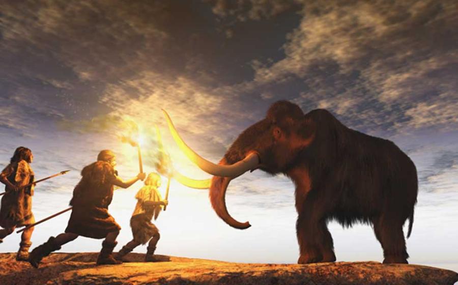 Neanderthals and woolly mammoths seem to have shared more than just an environment.