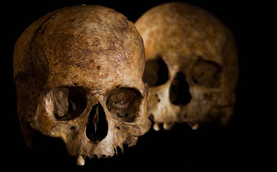 Spanish researchers have released their scientific study of the Neolithic age skulls and ritual artifacts found in one of the Dehesilla caves south of Cadiz, Spain.   