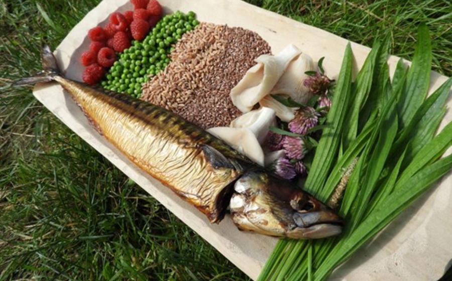 A selection of possible food in a Neolithic diet in the Iron Gates region, where people were still more reliant on aquatic resources. 