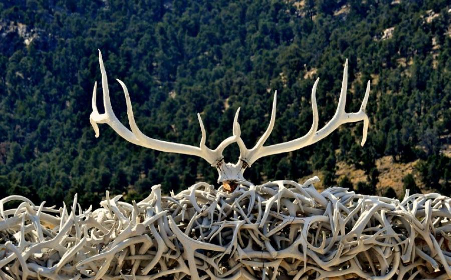 Neolithic ring proved to be made of antler or bone.   Source: John Nakata / Adobe Stock