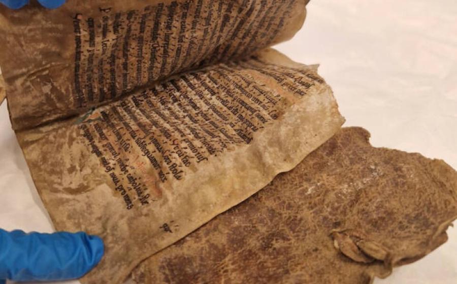 Pages of the Hagenes manuscript.