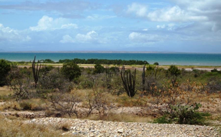 The Island of Cubagua, Venezuela      