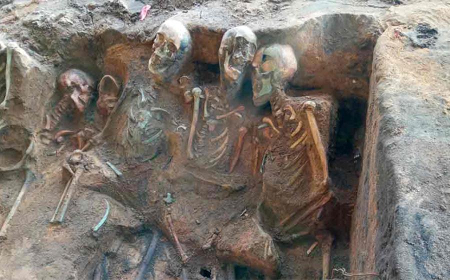 Some of the skeletons found in the Black Death Mass Graves in Nuremberg, Germany. Source: In Terra Veritas
