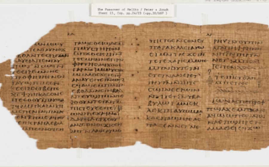 Sheet 15 from the Crosby Schoyen Codex