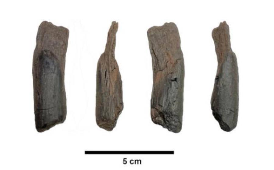 430,000-year-old wooden tool from Marathousa 1, Greece