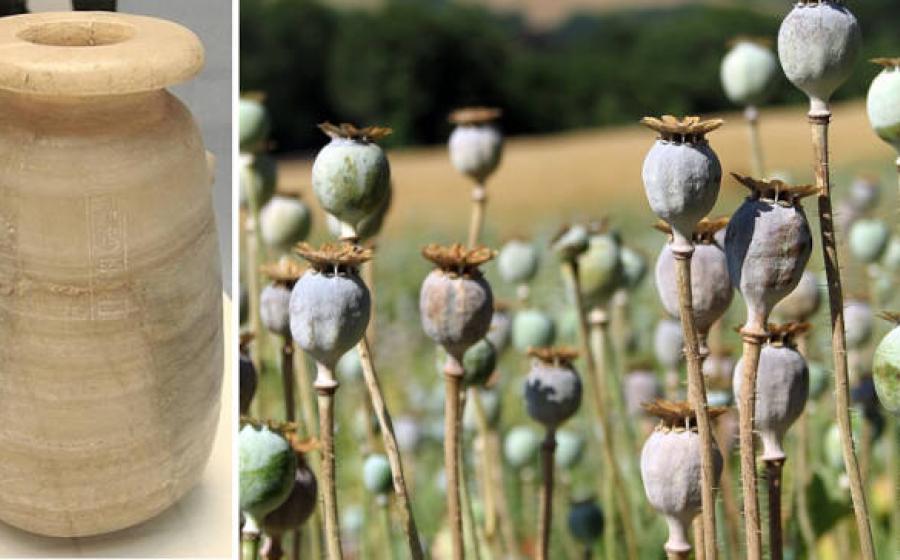Left, Jar of Xerxes I from the Mausoleum at Halicarnassus, Right; Opium poppies.