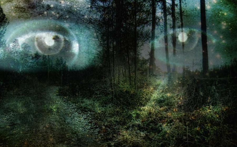 The Origins of the Faeries: Changes in Conscious Perception – Part II