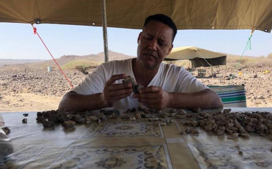 Professor Zeresenay Alemseged sifts through unidentified fossil fragments in the field