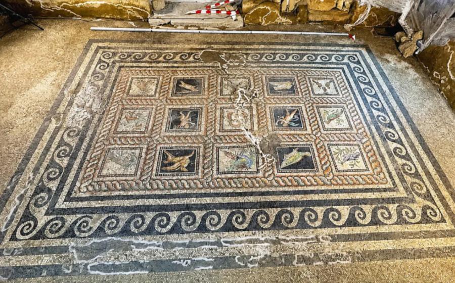 Photo of the recently uncovered mosaic at Adramytteion, Turkey.