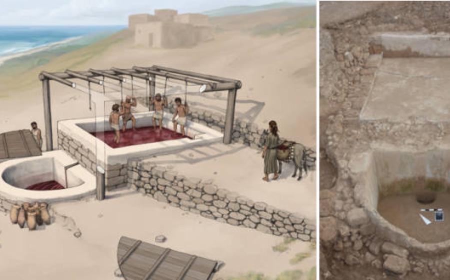 Left; artists impression of the wine press set up. Right; The large Iron Age wine press at Tell el-Burak 