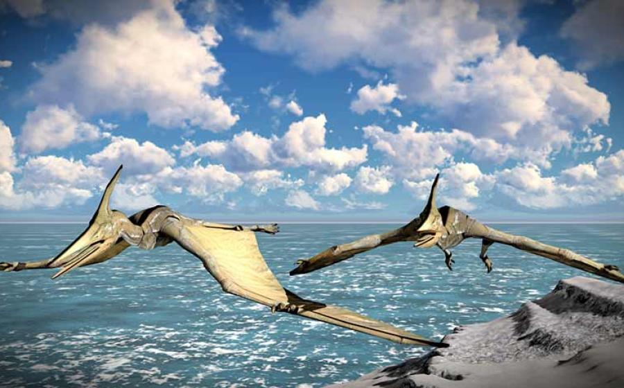 Hidden in Plain Sight: The Pterodactyl of New Guinea