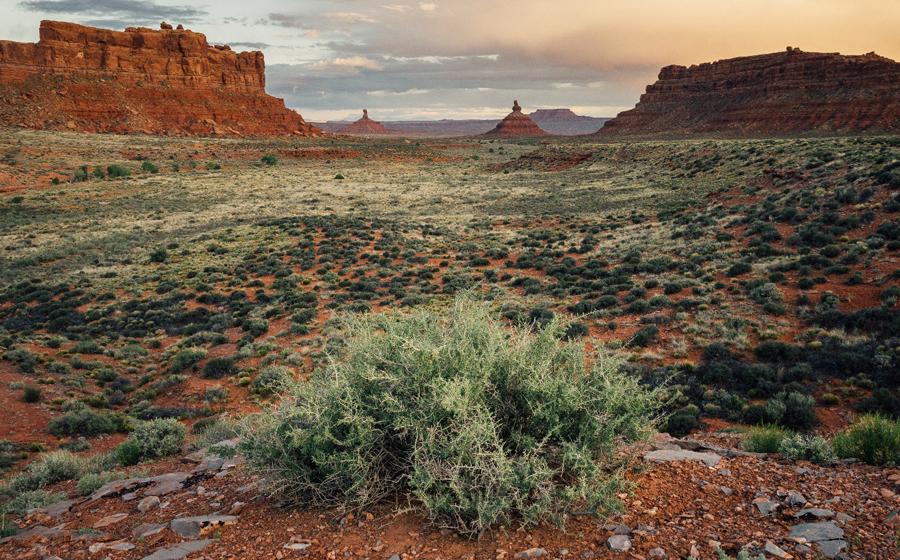 Valley of the Gods, Bears Ear National Monument, Utah, where the Pueblo peoples practiced a form of sustainable agriculture long ago. The plants they planted are now being used as a clue for finding other possible archaeological artifacts nearby.    