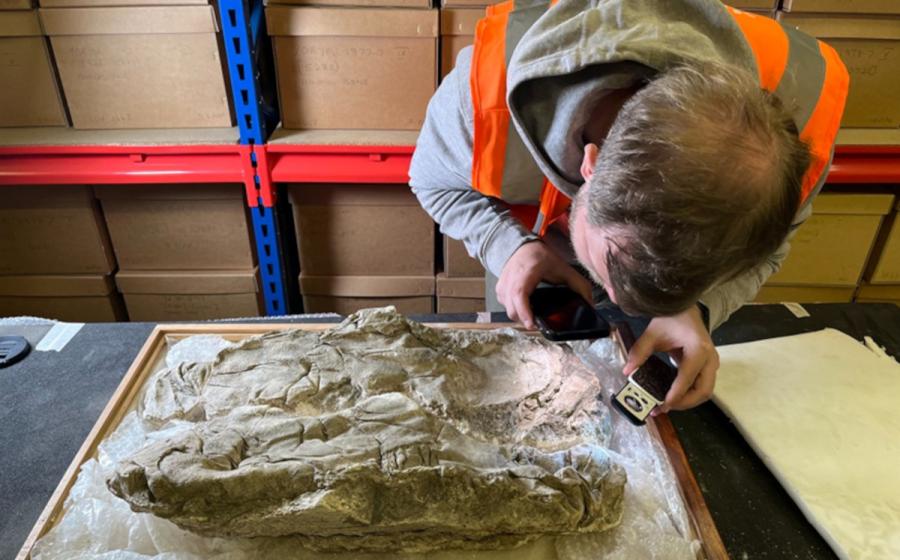 Researcher examining the Roman gypsum burial at the Yorkshire Museum