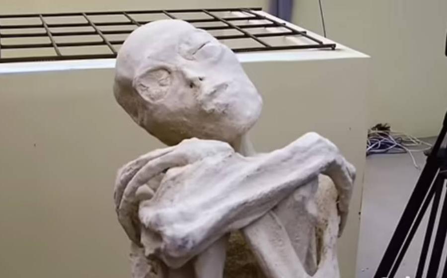 Mysterious Peruvian mummy with unusual physical features, leaving some to suspect they are not human.