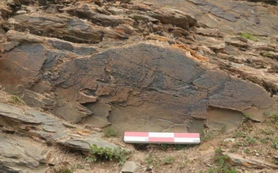 Rock inscription found on the Tibetan plateau found to describe a mission for the quest for immortality