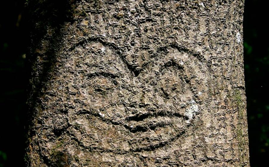 Rakau Momori Moriori tree carvings. Source: Royston Vasey / CC BY-SA 3.0