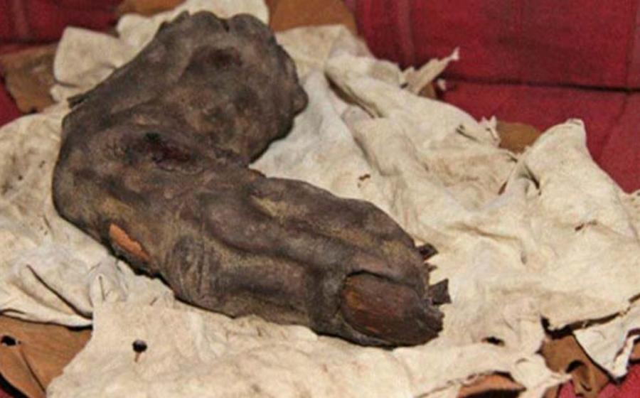 While on an excursion in Egypt, Gregor Spörri met Nagib, heir to a mummified finger.  This Relic of Bir Hooker measured 35cm and was authenticated with 1960s x-rays. Source: Courtesy of ©Gregor Sporri.