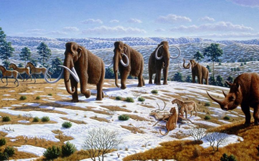 Restoration of a group in late Pleistocene northern Spain, by Mauricio Antón 