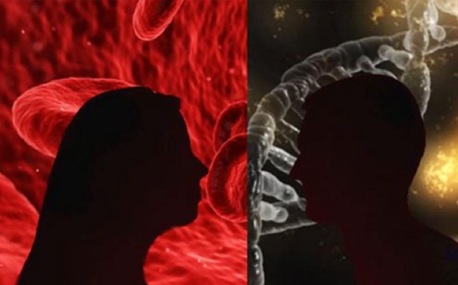 Silhouettes (Public Domain) in front of blood cells (Public Domain) and a gene. 