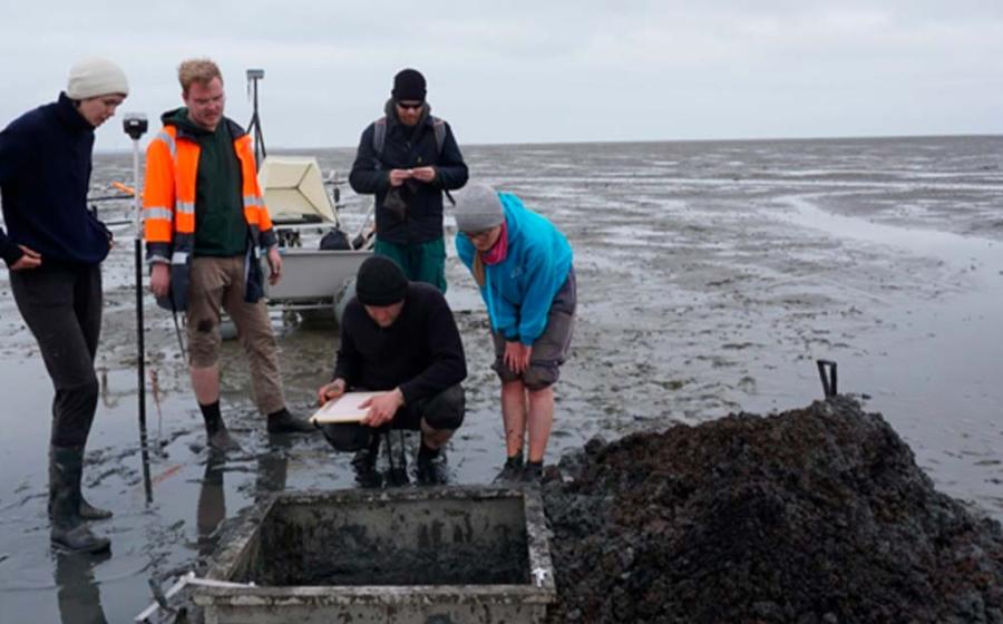 A special metal frame allows archaeological digs of one square meter in the area the Rungholt church has been detected on the tidal flats. Source: Universitaet Mainz