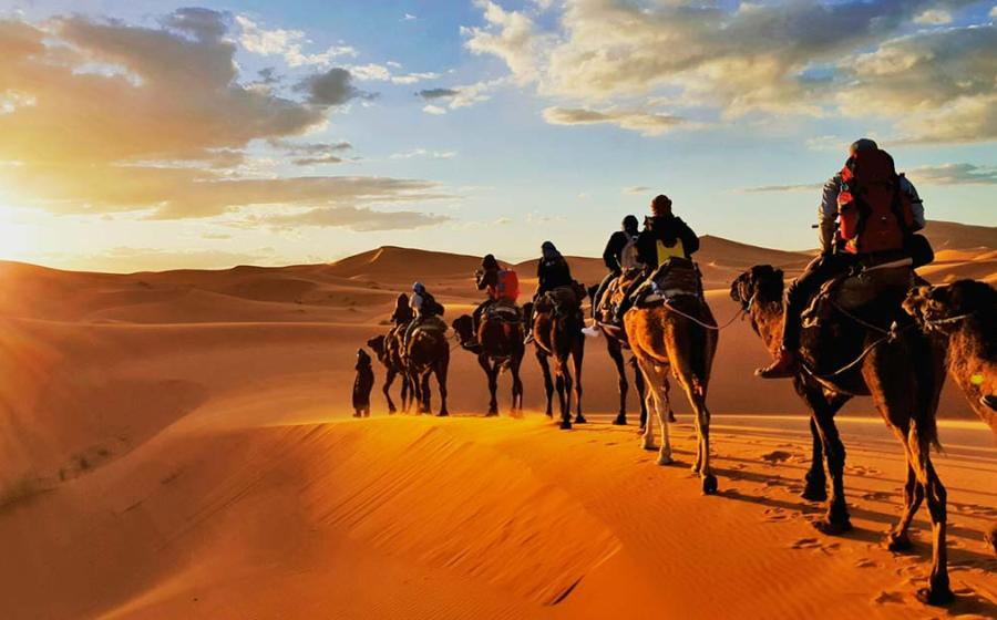 Camel caravan. Source: Gaper / Adobe Stock.