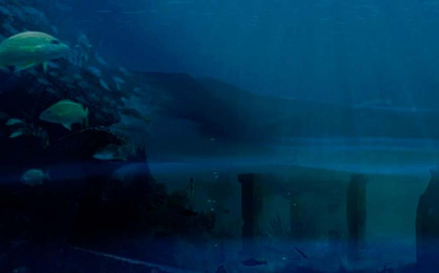 Deriv; Google Earth Saint Croix Basin, Artist’s concept of Underwater Ruins. Image of fish. Source:  (Anthony Jauneaud/flickr, (Saramarielin/flickr)