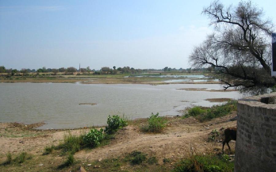 Bed of Ghaggar River near Hanumangarh. Researchers claim this is the ancient Saraswati River. Source: Bharat Jhunjhunwala / CC BY-SA 2.0.