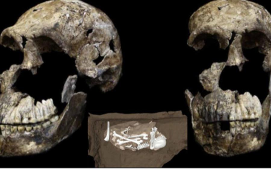 Three-quarter and frontal views of Homo naledi skull from Lesedi Chamber, South Africa. Inset; Image Homo naledi remains in situ at Rising Star cave