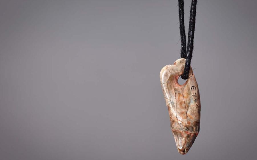 15,000-Year-Old Seal Tooth Pendant found in Kent's Cavern, Devon, UK