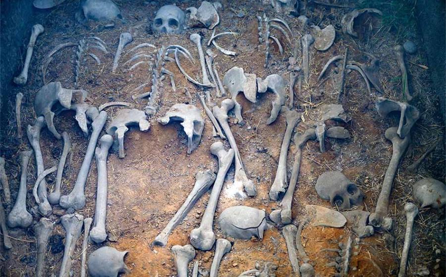 Sinister Secret of the Shang Dynasty: Its Penchant for Human Sacrifice