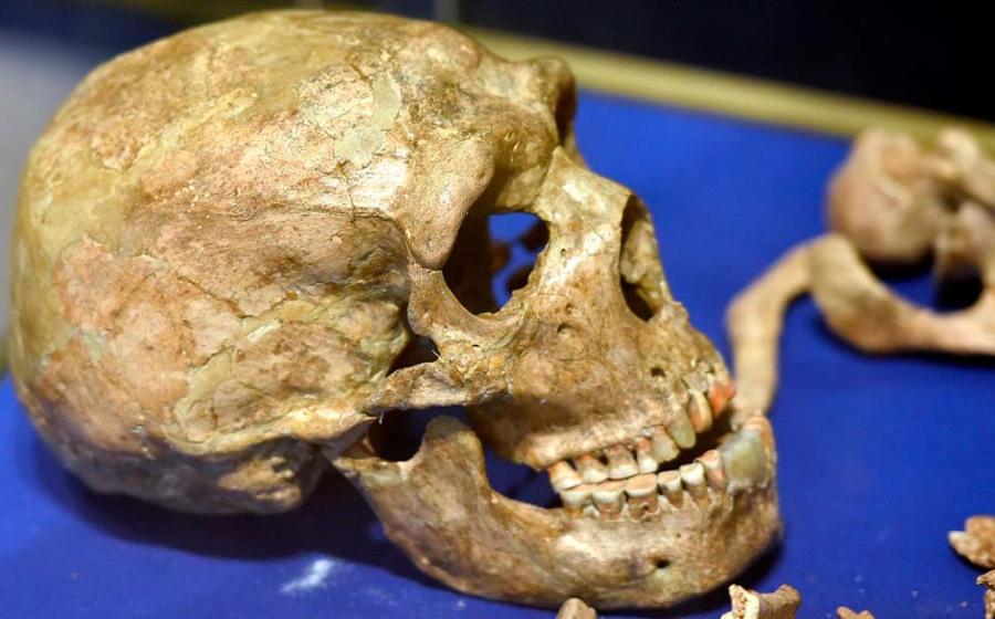 Neanderthal remains, Shanidar Cave (CC by SA 4.0)