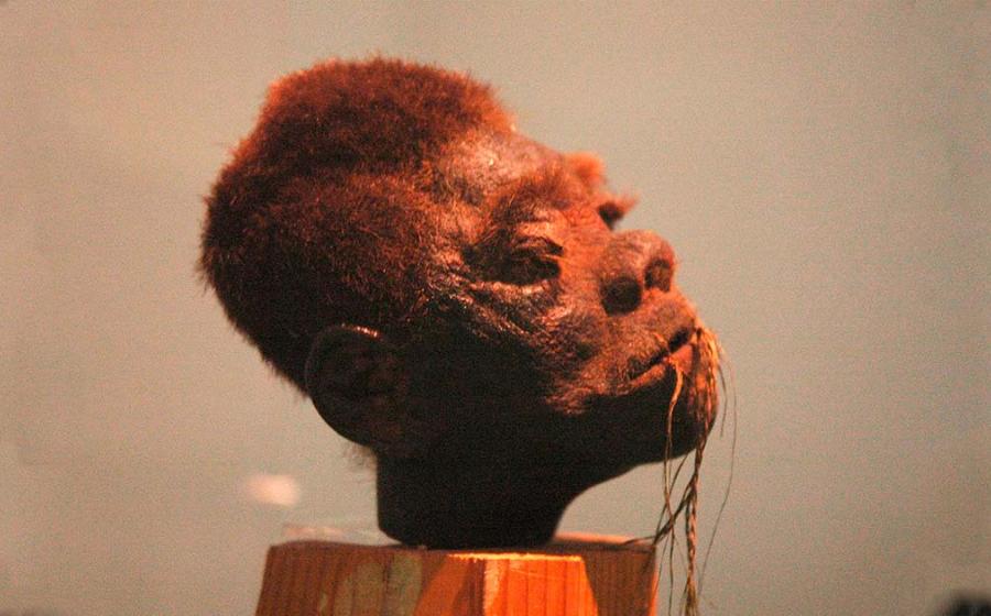 A shrunken head of Jivaro on display.  Source: Tylwyth Eldar / CC BY-SA 4.0