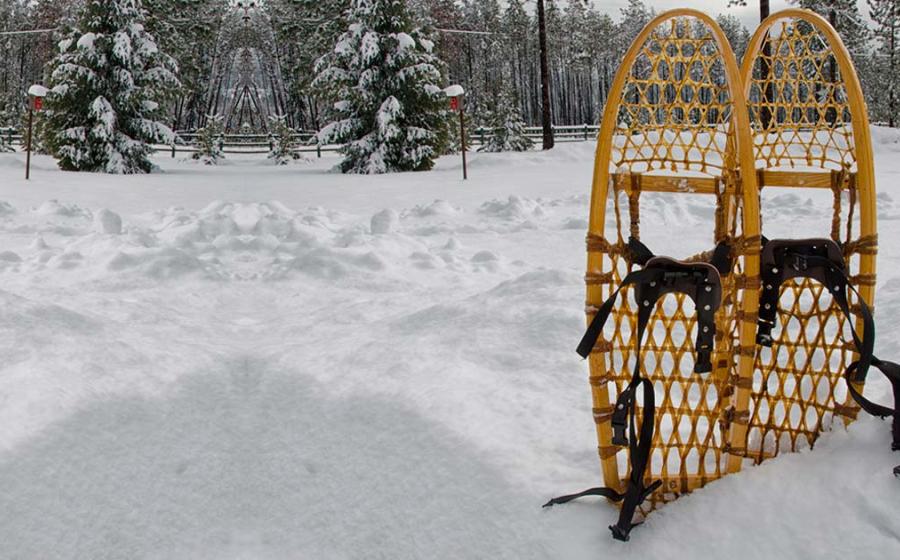 Traditional snowshoes. Source: debspoons / Adobe Stock.