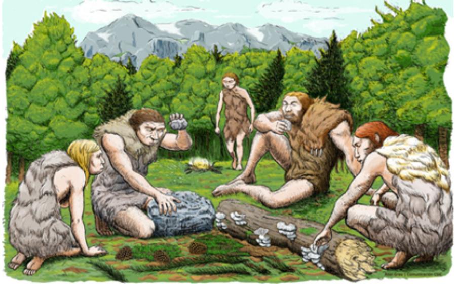 An artist’s impression of the El Sidron Neanderthals who were likely gathering much of their food, rather than hunting large game. Source: CSIC Spain, Author provided 