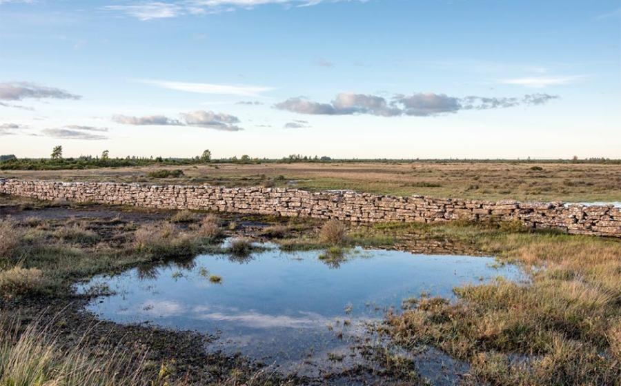 The Historic Limestone Landscape of Stora Alvaret