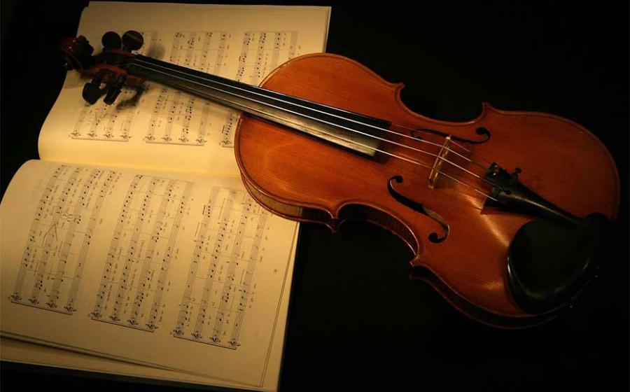 A recent international study has proven that the chemical treatments used on Stradivarius violins both preserved them from insects and fungus but also added to their exceptional acoustic properties.                                                        Source: estima / Adobe StocK
